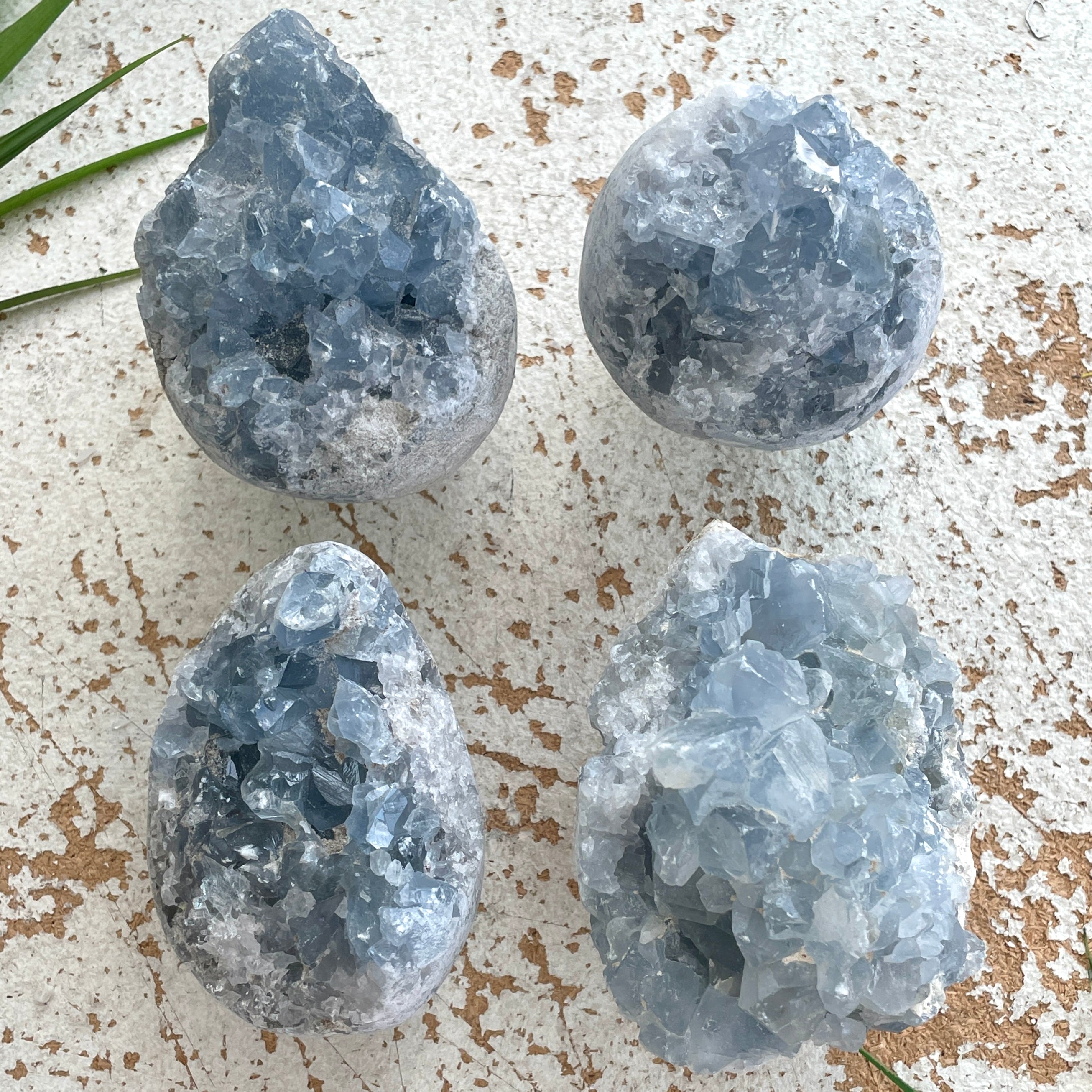 Celestite Cluster 1pc Celestite Cluster 1pc